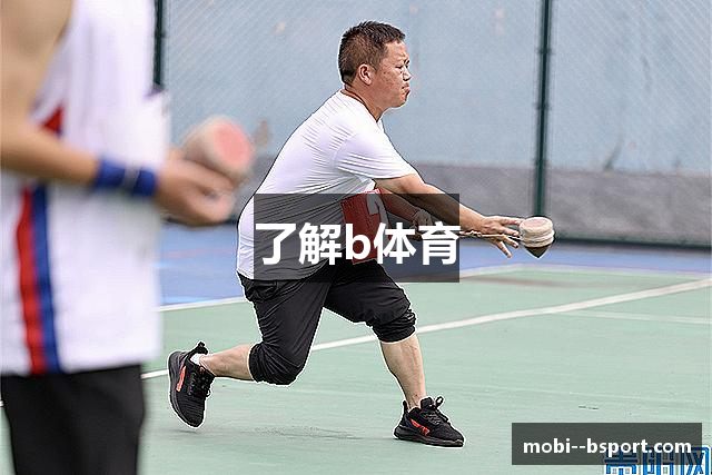 了解b体育